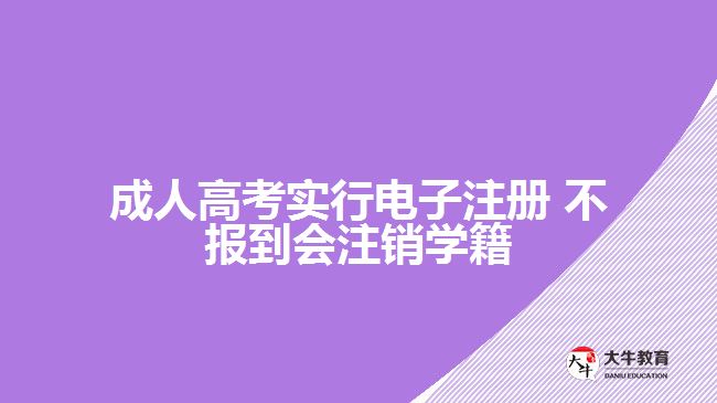成人高考實(shí)行電子注冊 不報到會注銷學(xué)籍