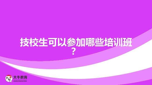 技校生可以參加哪些培訓(xùn)班？