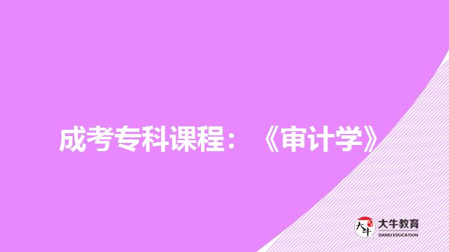 成考?？普n程：《審計(jì)學(xué)》