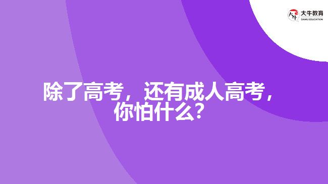 除了高考，還有成人高考，你怕什么？