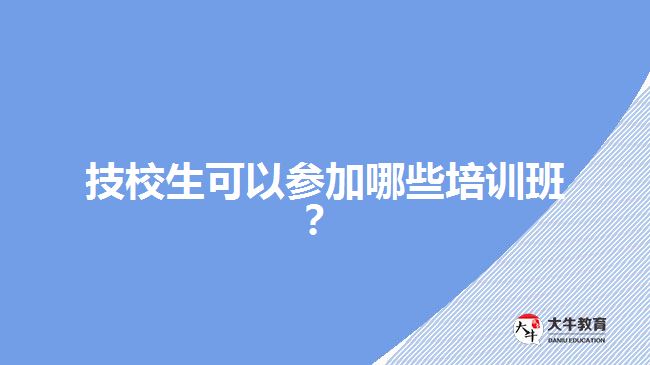 技校生可以參加哪些培訓(xùn)班？