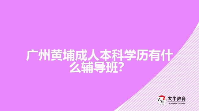 廣州黃埔成人本科學(xué)歷有什么輔導(dǎo)班？