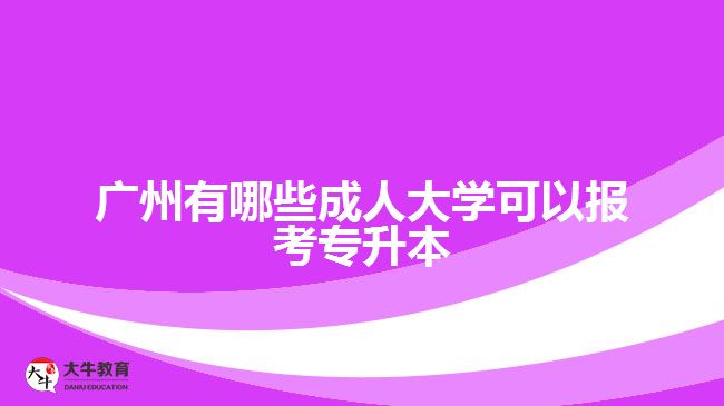 廣州有哪些成人大學(xué)可以報考專升本？