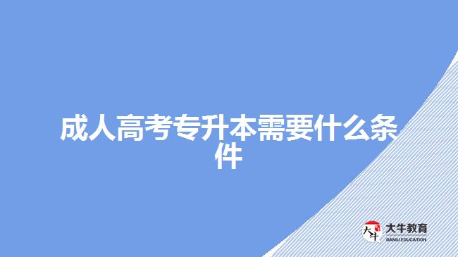 專(zhuān)升本