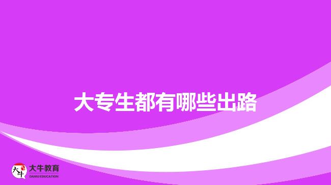 大專生都有哪些出路
