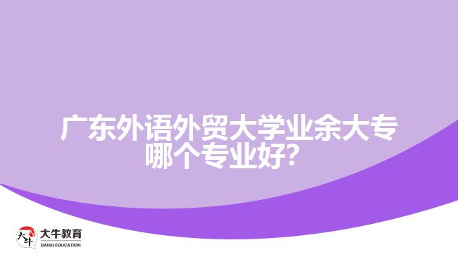 廣東外語外貿(mào)大學(xué)業(yè)余大專哪個(gè)專業(yè)好？