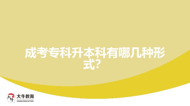 成人?？粕究朴心膸追N形式？