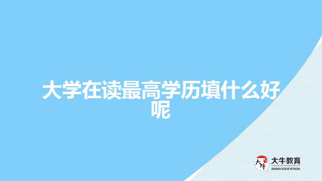 大學(xué)在讀最高學(xué)歷填什么好呢