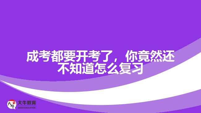成考都要開(kāi)考了，你竟然還不知道怎么復(fù)習(xí)
