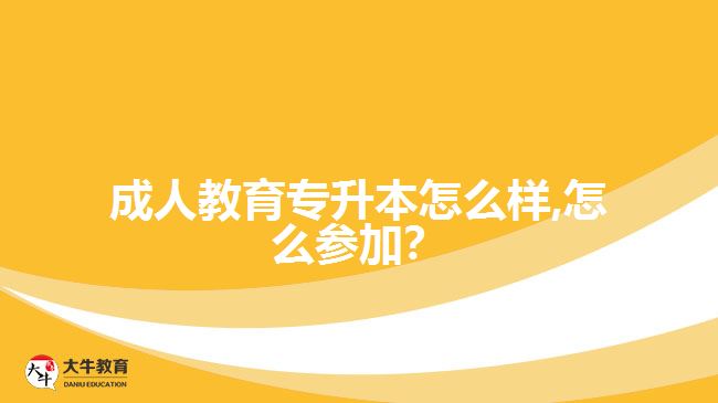 成人教育專升本怎么樣,怎么參加？