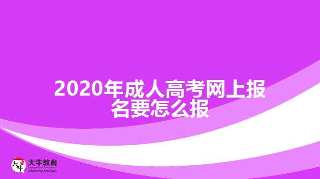 ，2020年成人高考網(wǎng)上報(bào)名要怎么報(bào)