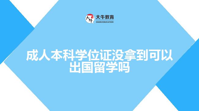成人本科學(xué)位證沒(méi)拿到可以出國(guó)留學(xué)嗎