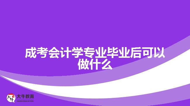 成考會計學(xué)專業(yè)畢業(yè)后可以做什么