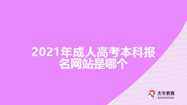 2021年成人高考本科報(bào)名網(wǎng)站是哪個