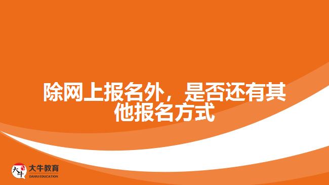 除網(wǎng)上報名外，是否還有其他報名方式