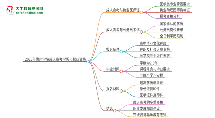 2025年惠州學(xué)院的成人高考學(xué)歷能報(bào)考執(zhí)業(yè)醫(yī)師證嗎？思維導(dǎo)圖