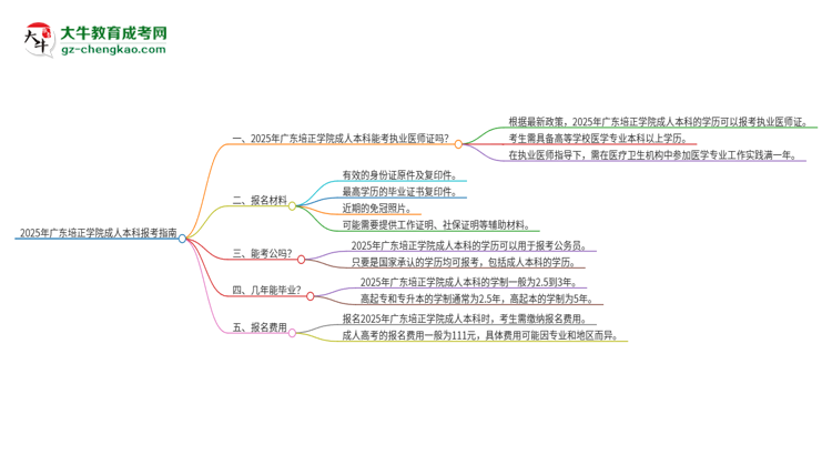 2025年廣東培正學(xué)院成人本科可否報考執(zhí)業(yè)醫(yī)師資格證？思維導(dǎo)圖