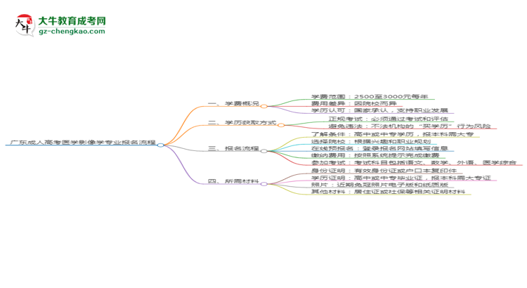 廣東成人高考醫(yī)學(xué)影像學(xué)專業(yè)2025年報名流程思維導(dǎo)圖