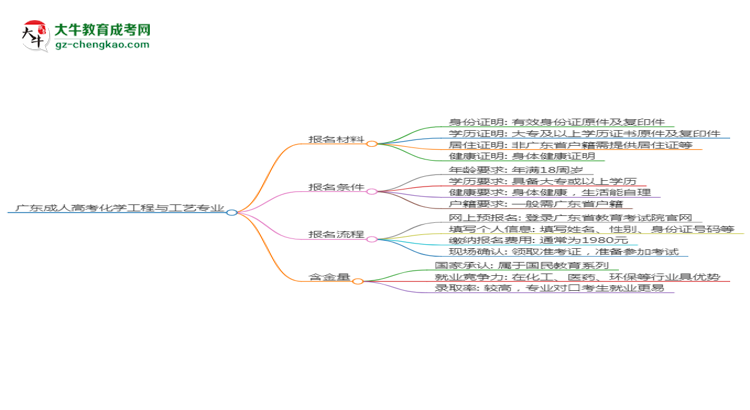 廣東2025年成人高考化學(xué)工程與工藝專(zhuān)業(yè)學(xué)歷能考公嗎？思維導(dǎo)圖