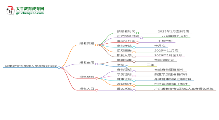 華南農(nóng)業(yè)大學成考人力資源管理專業(yè)2025年報名流程思維導(dǎo)圖