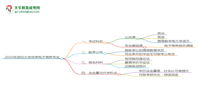 2025年深圳大學成考電子商務專業(yè)入學考試科目有哪些？思維導圖