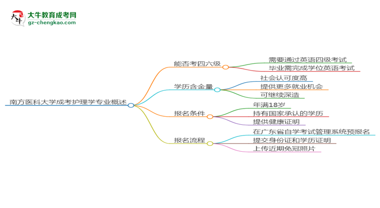 南方醫(yī)科大學(xué)2025年成考護(hù)理學(xué)專(zhuān)業(yè)生可不可以考四六級(jí)？思維導(dǎo)圖