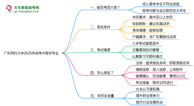 廣東藥科大學(xué)2025年成考中醫(yī)學(xué)專業(yè)生可不可以考四六級(jí)？思維導(dǎo)圖