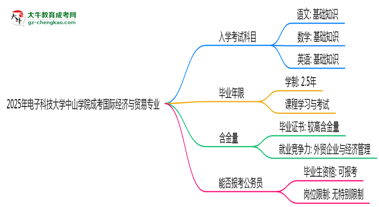 2025年電子科技大學(xué)中山學(xué)院成考國際經(jīng)濟(jì)與貿(mào)易專業(yè)入學(xué)考試科目有哪些？思維導(dǎo)圖