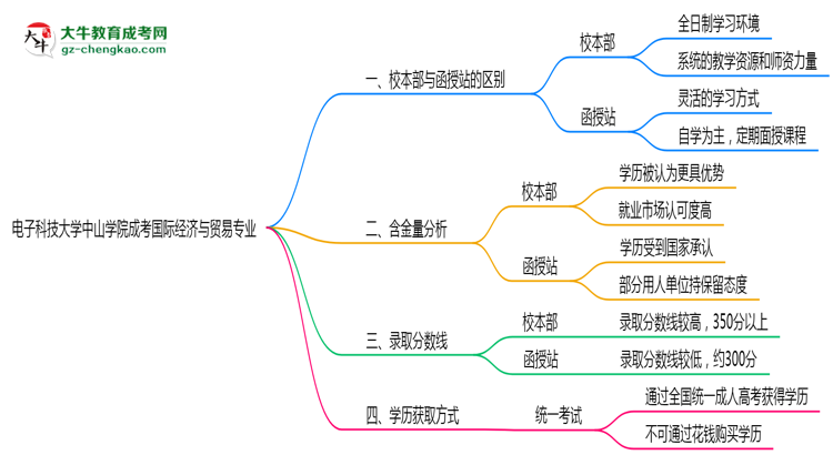 電子科技大學(xué)中山學(xué)院2025年成考國(guó)際經(jīng)濟(jì)與貿(mào)易專業(yè)校本部和函授站哪個(gè)更好？思維導(dǎo)圖
