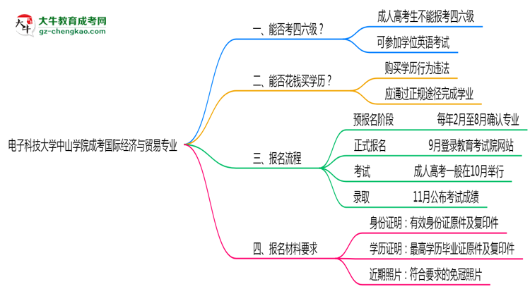 電子科技大學(xué)中山學(xué)院2025年成考國(guó)際經(jīng)濟(jì)與貿(mào)易專業(yè)生可不可以考四六級(jí)？思維導(dǎo)圖