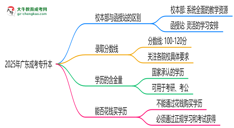 2025年報廣東成考專升本選校本部or函授站？區(qū)別解析思維導(dǎo)圖