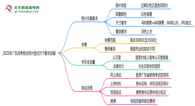 2025年廣東成考報(bào)名照片格式尺寸要求詳解