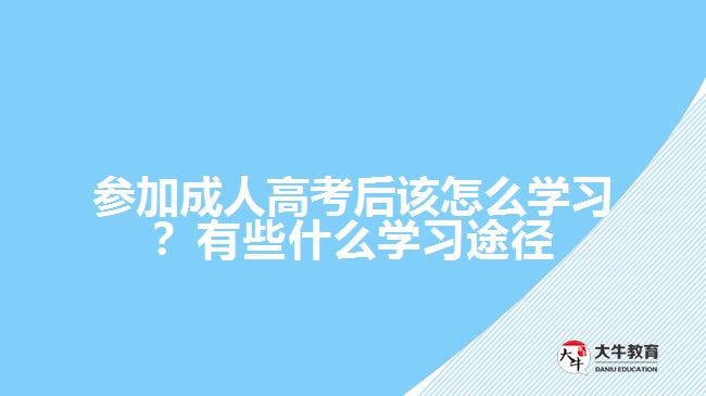 參加成人高考后該怎么學習？有些什么學習途徑