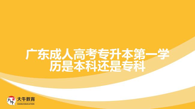 廣東成人高考專升本第一學(xué)歷是本科還是?？? width=