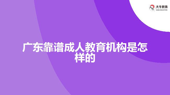 廣東靠譜成人教育機(jī)構(gòu)是怎樣的