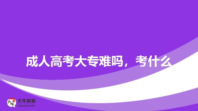 成人高考大專難嗎，考什么