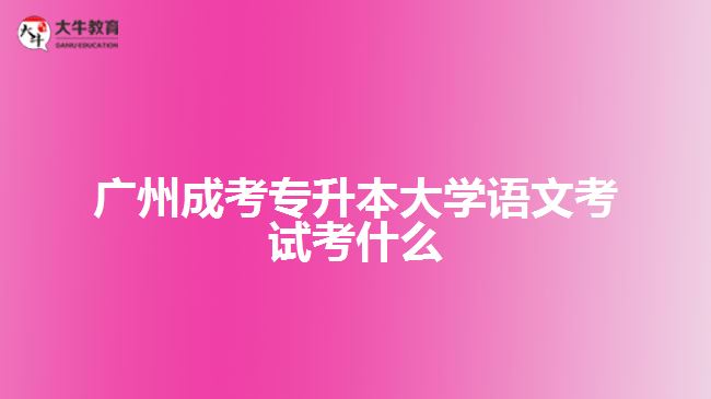 廣州成考專升本大學(xué)語(yǔ)文考試考什么
