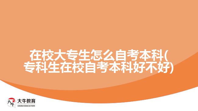 在校大專(zhuān)生怎么自考本科