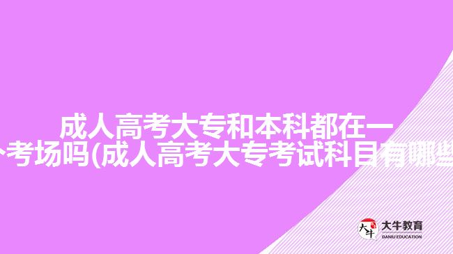 成人高考大專和本科都在一個考場嗎(成人高考大?？荚嚳颇坑心男?