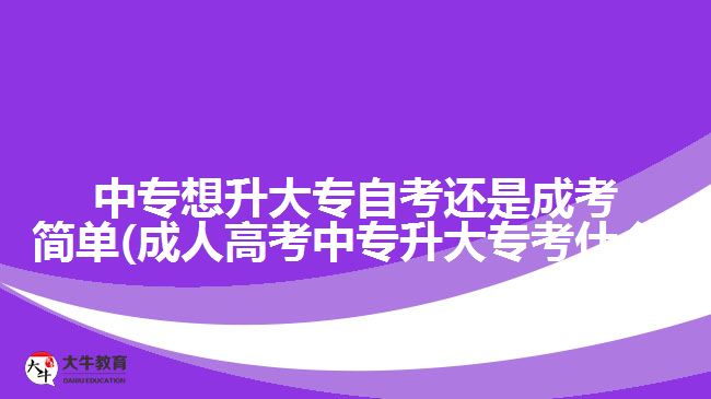 中專想升大專自考還是成考簡單(成人高考中專升大?？际裁?