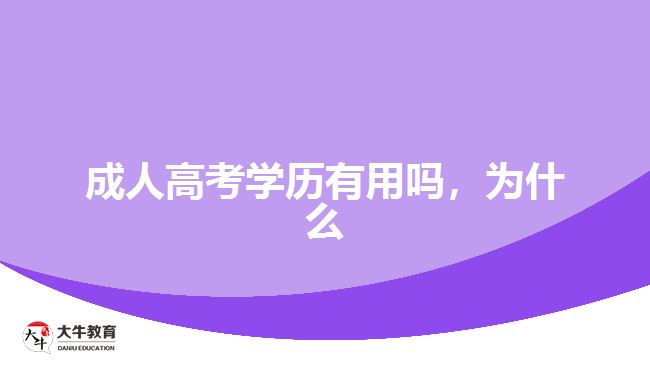 成人高考學歷有用嗎，為什么