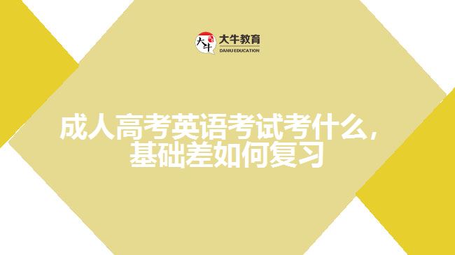 成考英語考什么，基礎(chǔ)差如何復(fù)習(xí)