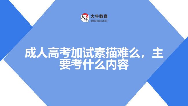 成人高考加試素描難么，主要考什么內容