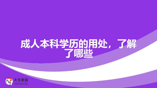 成人本科學(xué)歷的用處，了解了哪些
