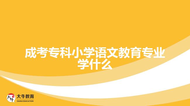 成考專科小學語文教育專業(yè)學什么