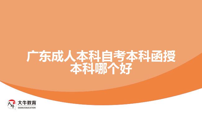 廣東成人本科自考本科函授本科哪個好