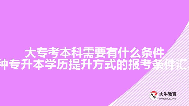 大?？急究菩枰惺裁礂l件