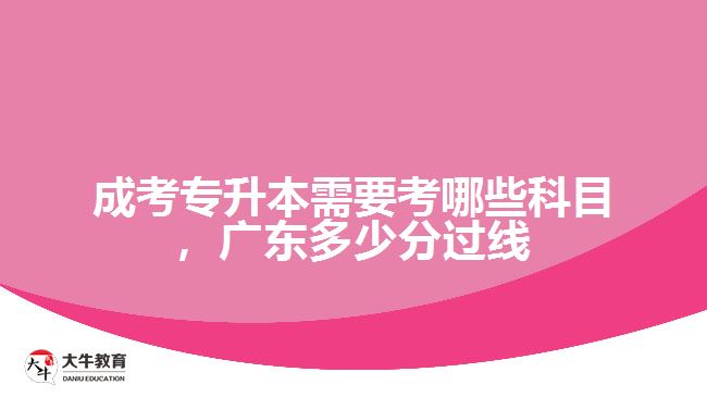 成考專升本需要考哪些科目，廣東多少分過線