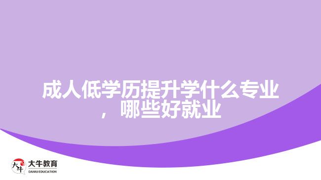 成人低學歷提升學什么專業(yè)，哪些好就業(yè)
