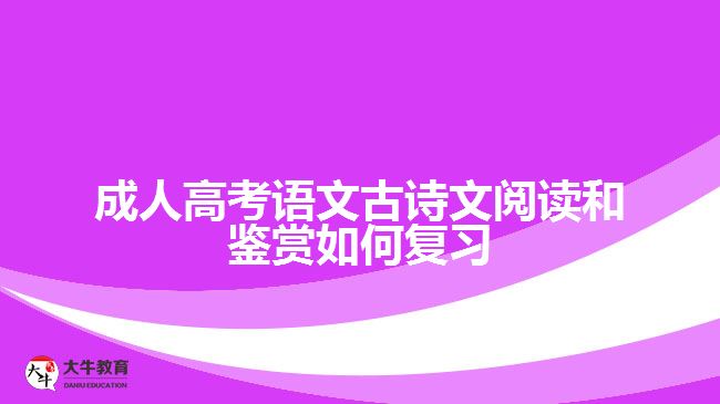 成人高考語文古詩文閱讀和鑒賞如何復習